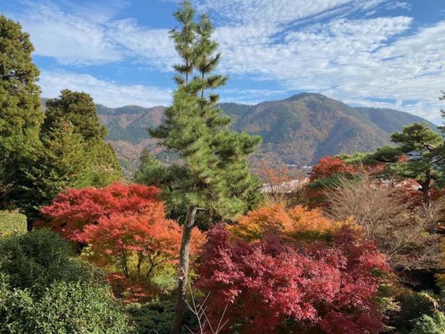 Hotel Marroad Hakone Zewnętrze zdjęcie